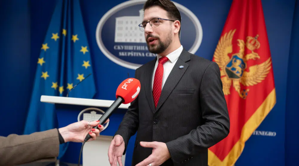 Миличић: Мандић не планира посјету Бриселу, фокусиран је на посао у Скупштини