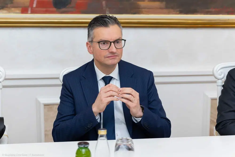 Шарец упозорава: Црна Гора нема времена за одлагање уставних реформи